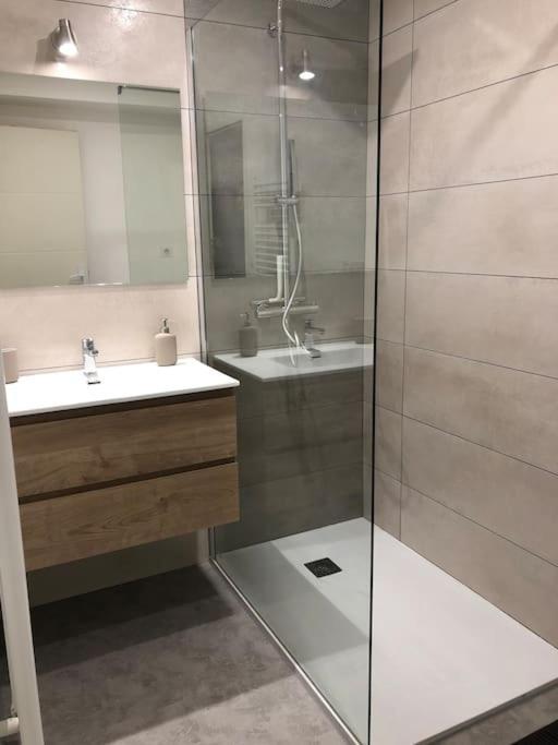 Appartement Moderne & Lumineux 40M2 Centre Luxeuil Esterno foto