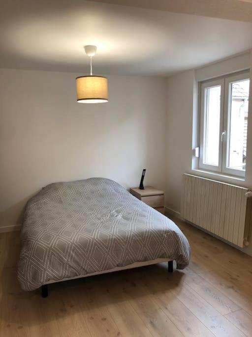 Appartement Moderne & Lumineux 40M2 Centre Luxeuil Esterno foto