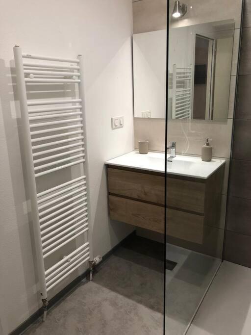 Appartement Moderne & Lumineux 40M2 Centre Luxeuil Esterno foto